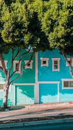green and blue houses beside trees on sidewalk