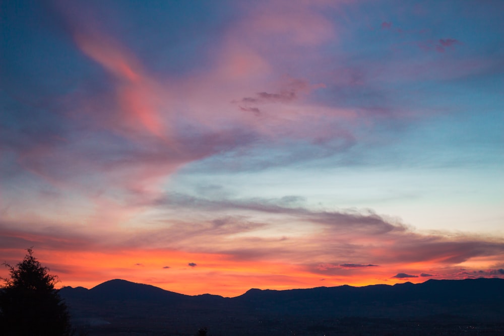 Bäume und Berge bei Nacht