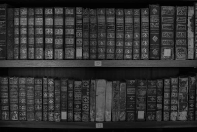 Bookshelves filled with translated classics on Indonesian colonial history