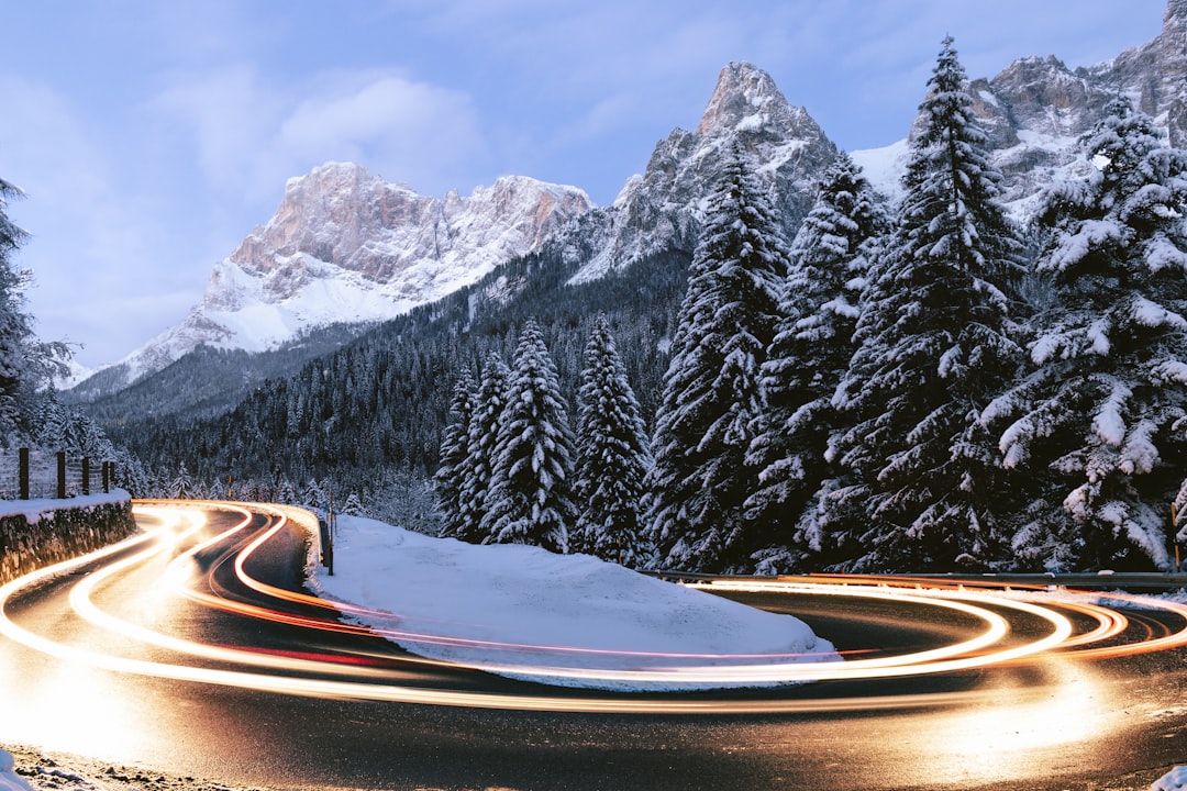 timelapse photo of vehicles near trees, Nature lights up when the sun goes down
