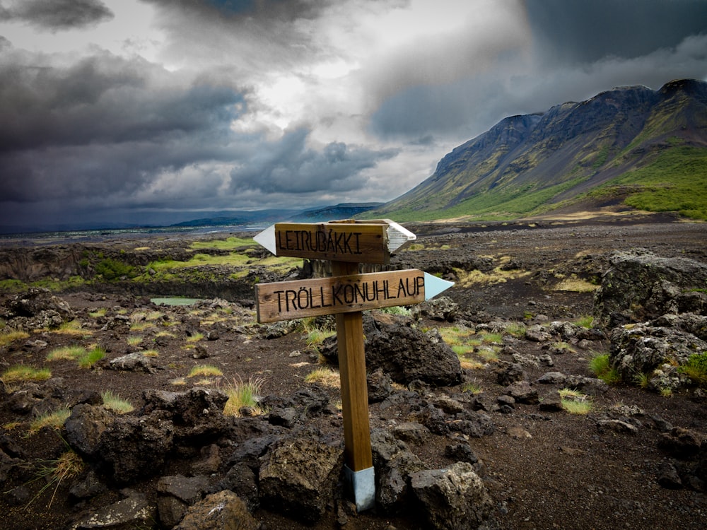 brown wooden signage