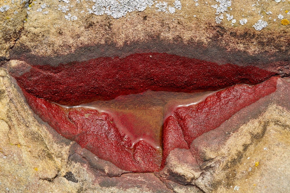 brown rock with lips paint