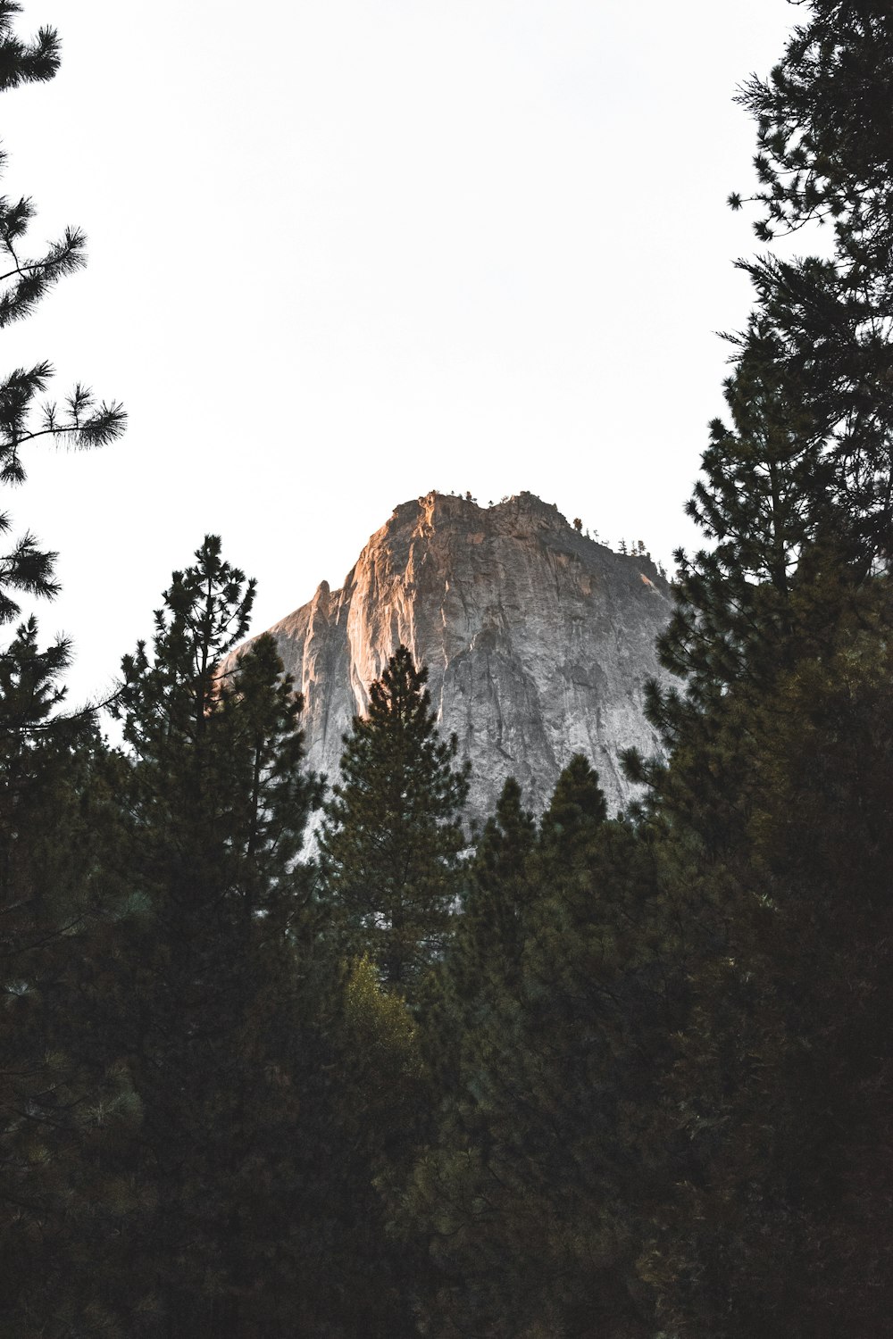 trees near mountain taken under white clouds