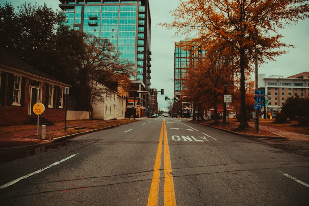 empty concrete road top between trees and buildings during daytime