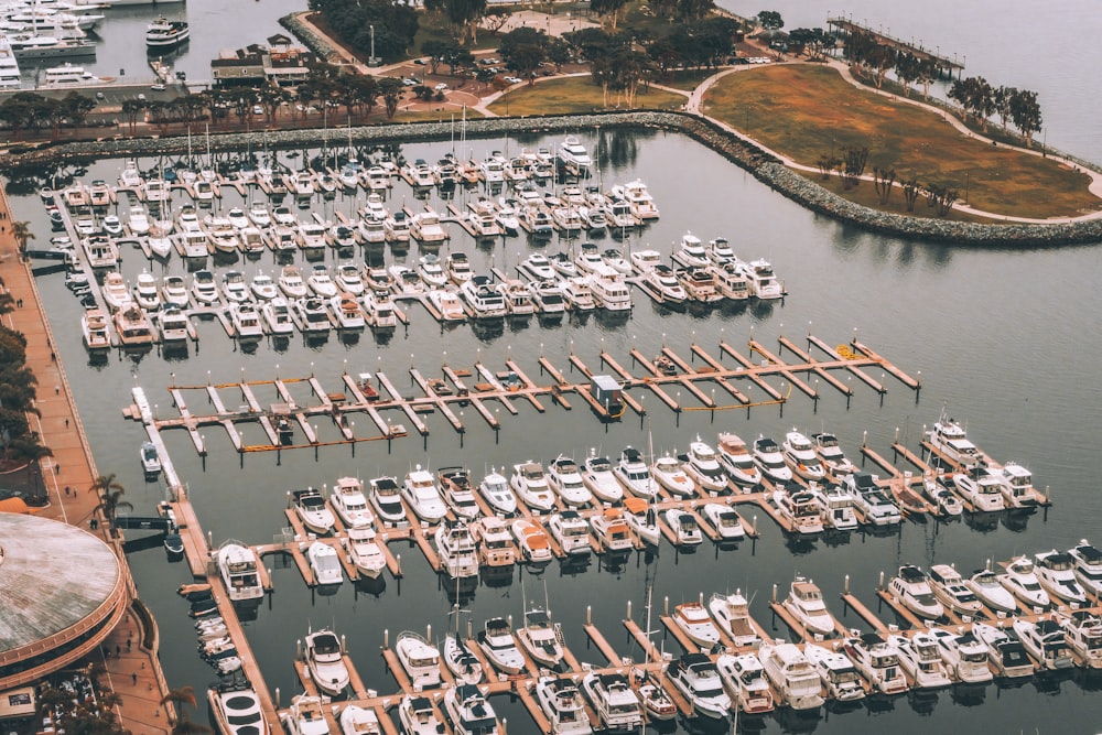aerial photography yacht lot on body of water