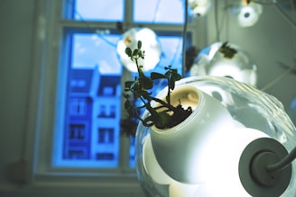 A small green plant is growing inside a transparent, spherical lamp emitting bright white light. The background displays a window with a blue tint, showing part of an urban landscape with a building visible through the window.