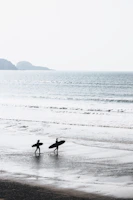 two people carrying surfboards at beach during daytime