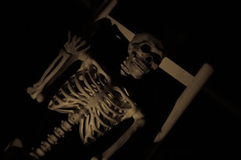 A human skeleton is positioned in a seated stance, partially illuminated against a dark background. The skeletal ribs, skull, and limbs are visible, creating an eerie and mysterious atmosphere.