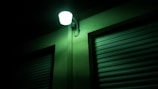 An outdoor wall-mounted light illuminates a building with a greenish glow. The wall features a textured surface, and two metal roll-up doors are visible, creating a crisp contrast with the shadows.