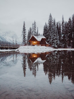 house in between trees and dock under gray sky