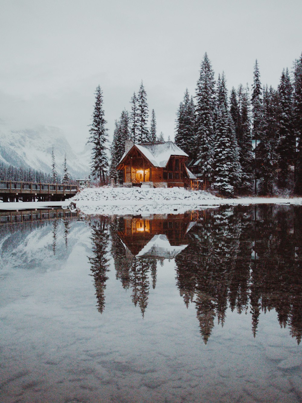 house in between trees and dock under gray sky