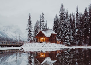 house in between trees and dock under gray sky