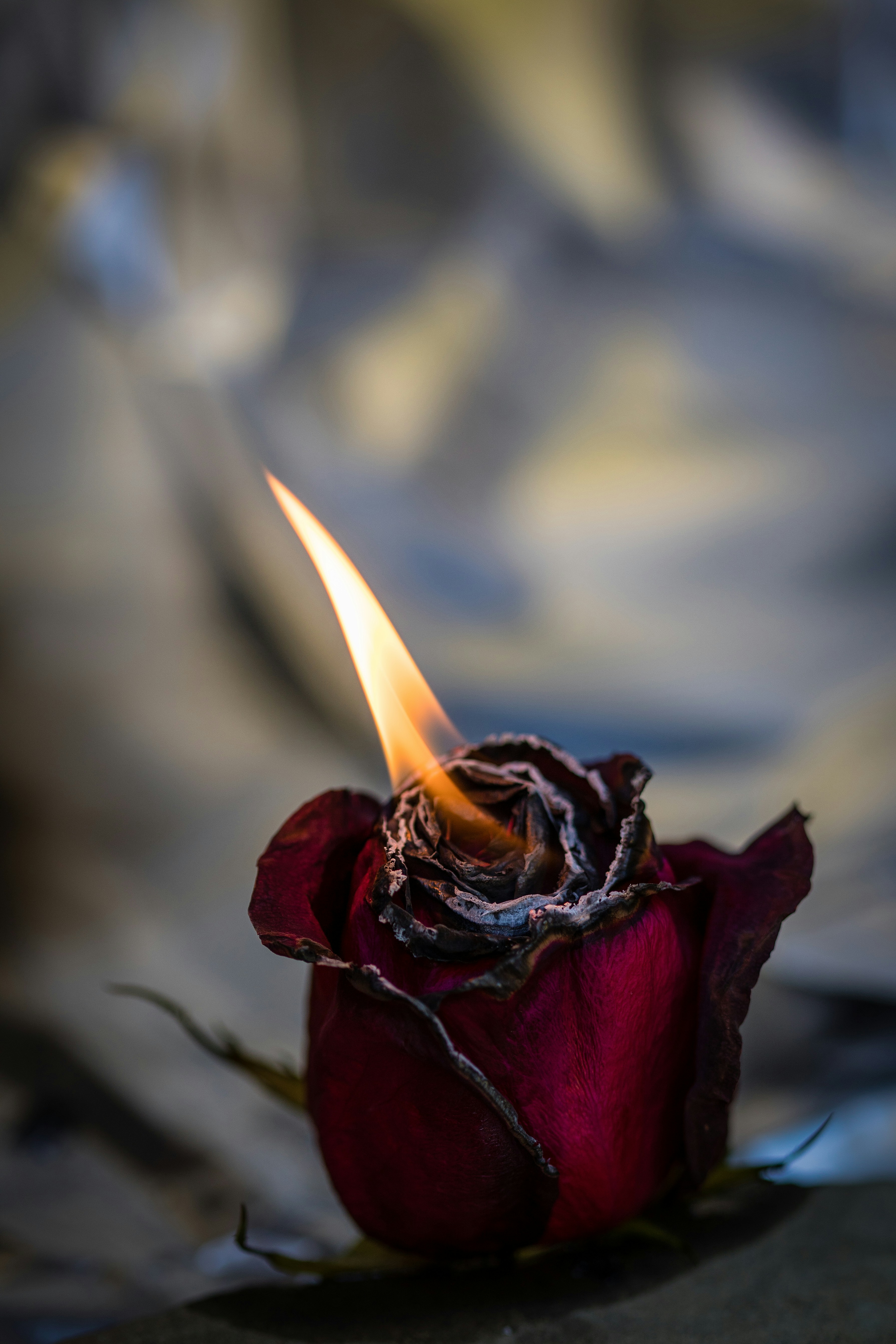 死亡笔记电影日版在线观看，死亡笔记电影日版在线观看免费