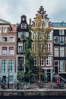 parked bicycles in front of establishment during daytime