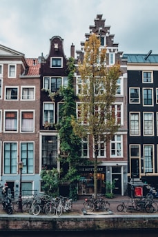 Tall, narrow buildings with traditional Dutch architecture line a canal. A tree with autumn leaves stands prominently in front of the central building. Bicycles are parked along the sidewalk, enhancing the urban yet quaint atmosphere. Ivy clings to some buildings, adding greenery to the scene.
