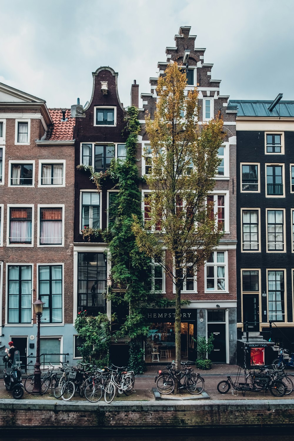 parked bicycles in front of establishment during daytime