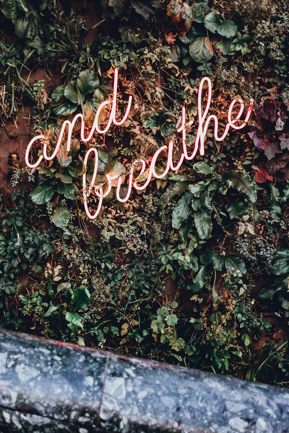 and breathe LED sign surrounded by green plants