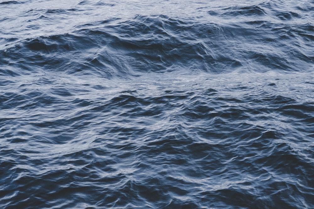 onde dell'oceano