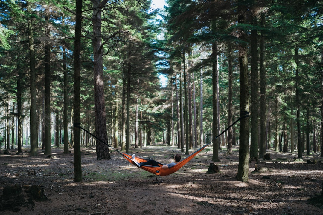 person on hammock outdoors