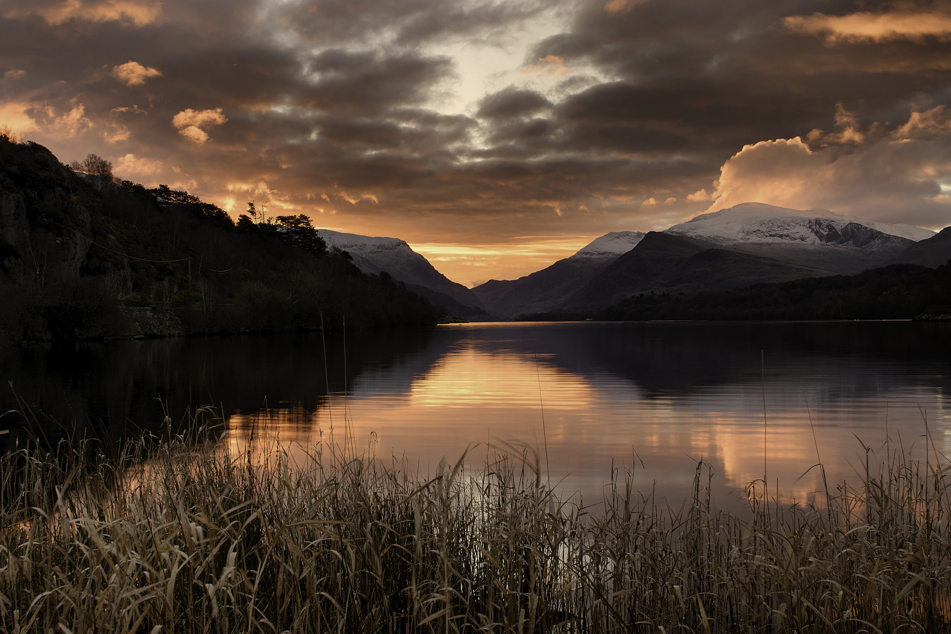 body of water across trees
