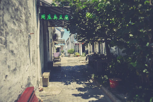 A serene alleyway in Guangzhou with old stone pavement and soft sunlight filtering through ancient trees.