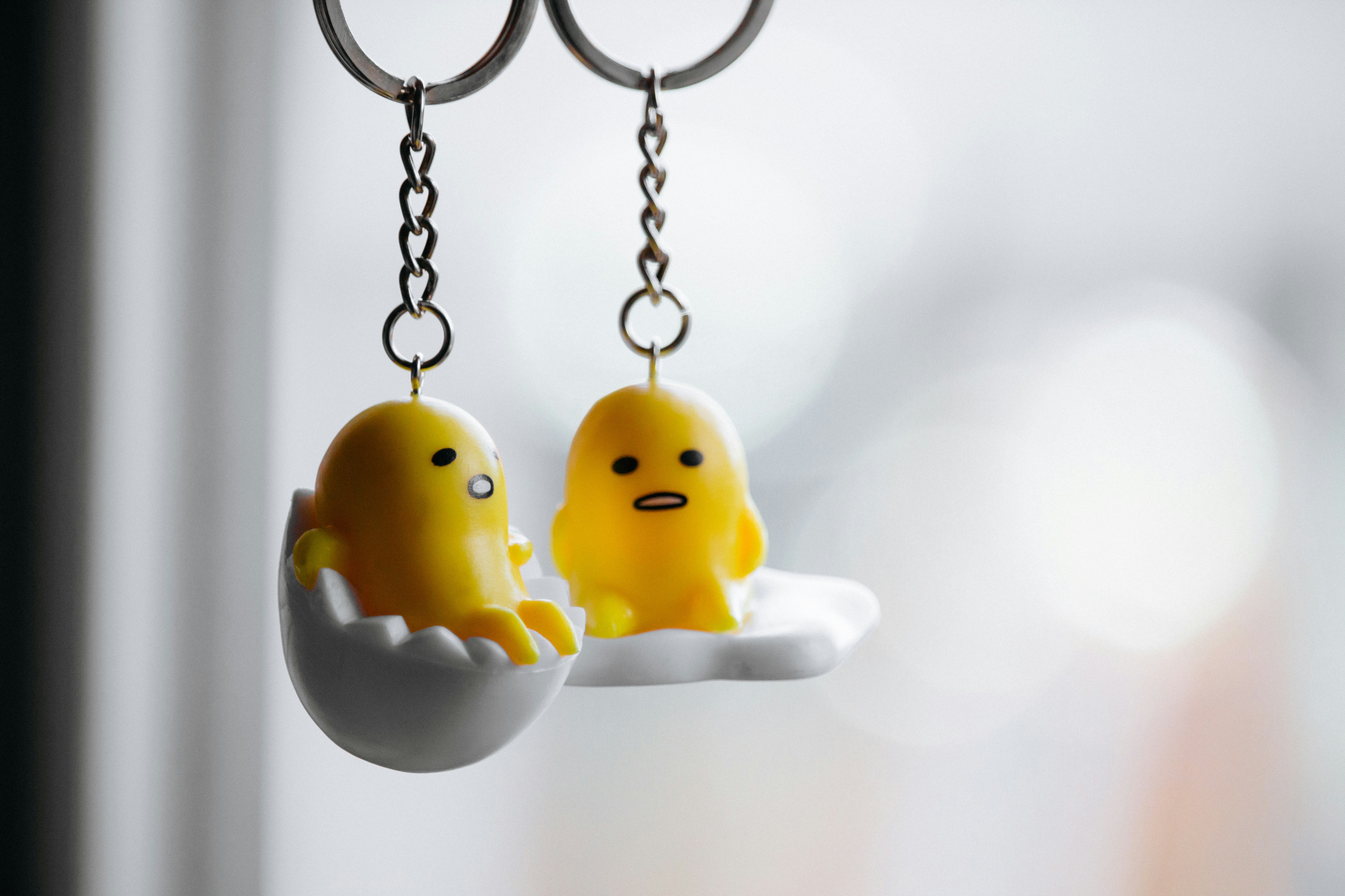 shallow focus photo of two yellow bird keychains