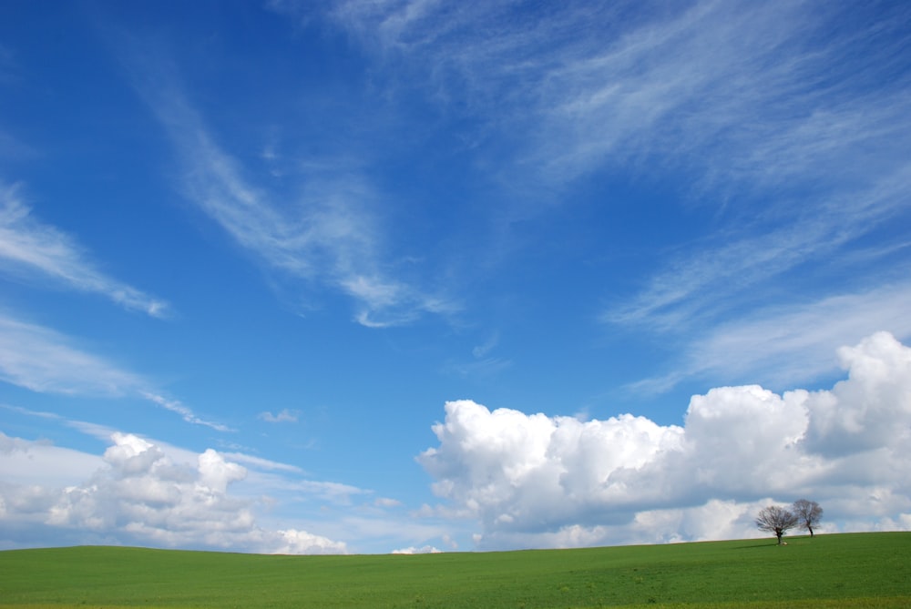Landschaftsfotografie von grünem Land unter blauem Himmel