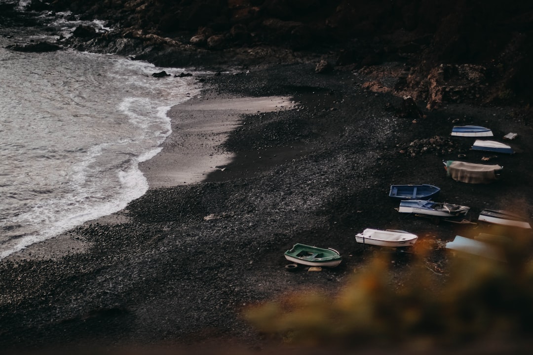 boats on seashore