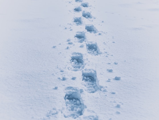 footprint in snow