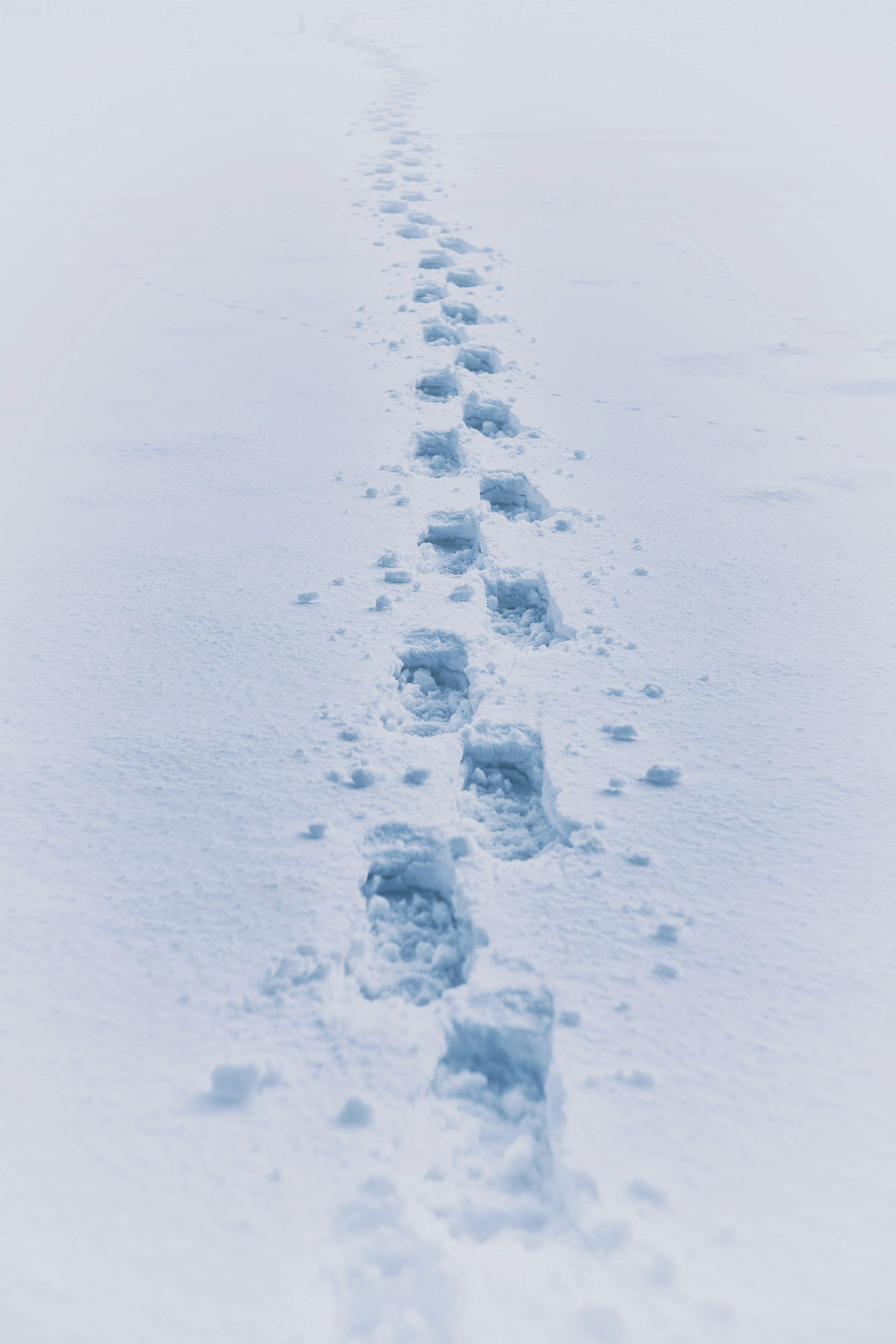 step