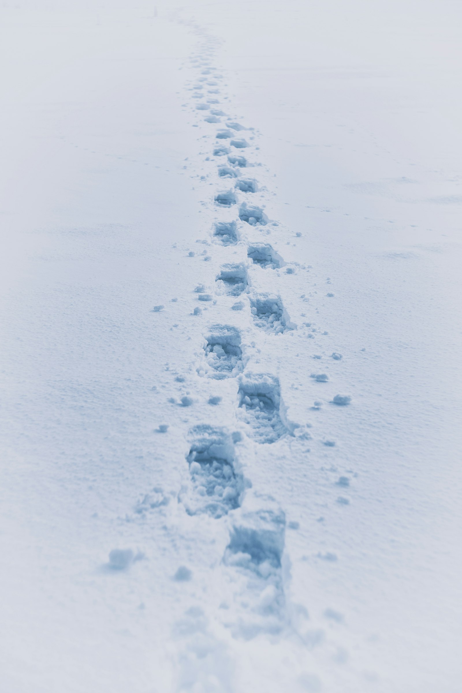 Canon EF 35-80mm f/4-5.6 sample photo. Footprint in snow photography