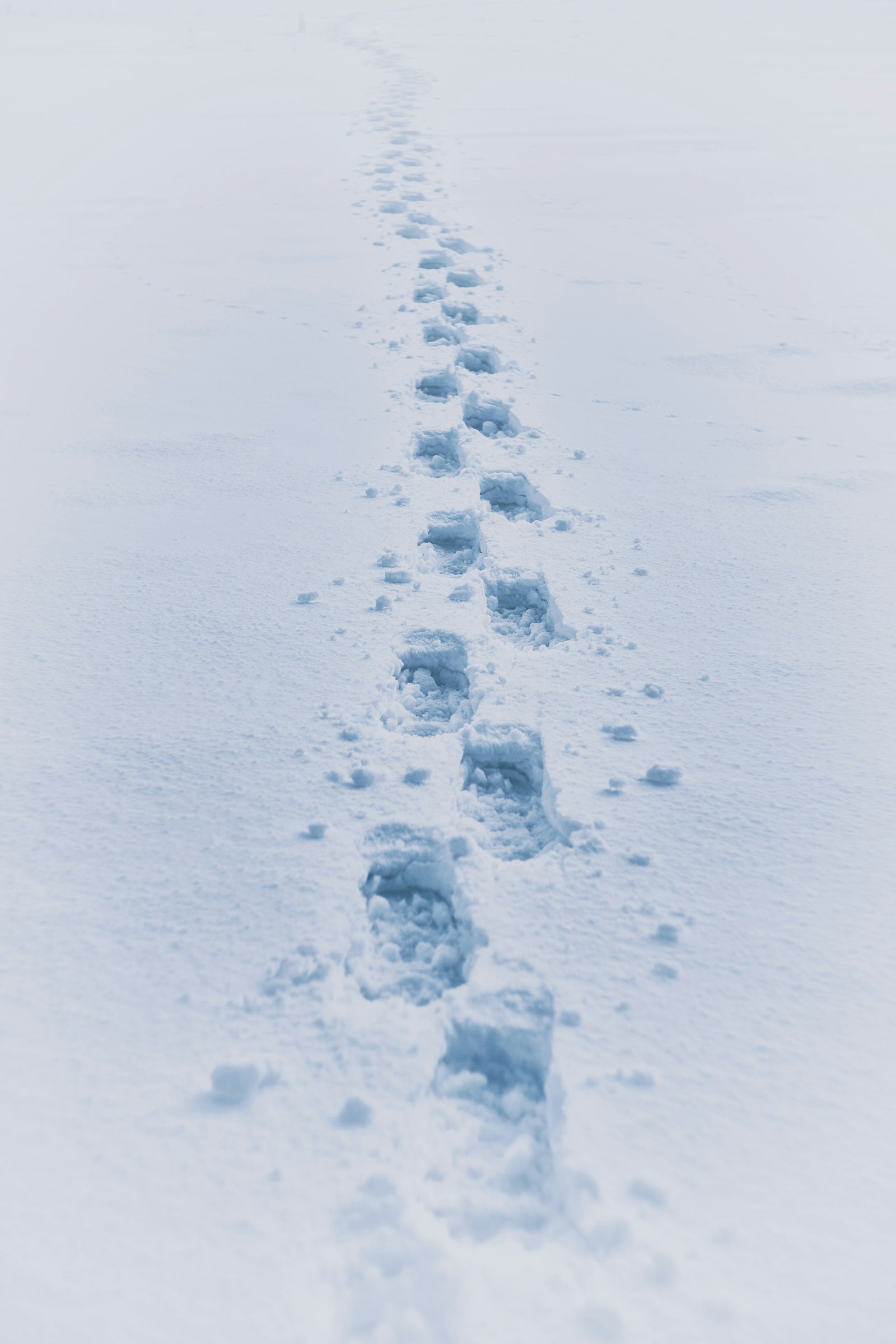 Canon EOS 6D + Canon EF 35-80mm f/4-5.6 sample photo. Footprint in snow photography