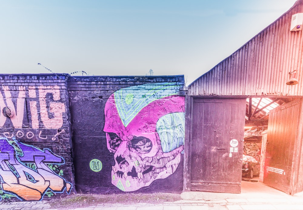 skull graffiti near brown wooden door