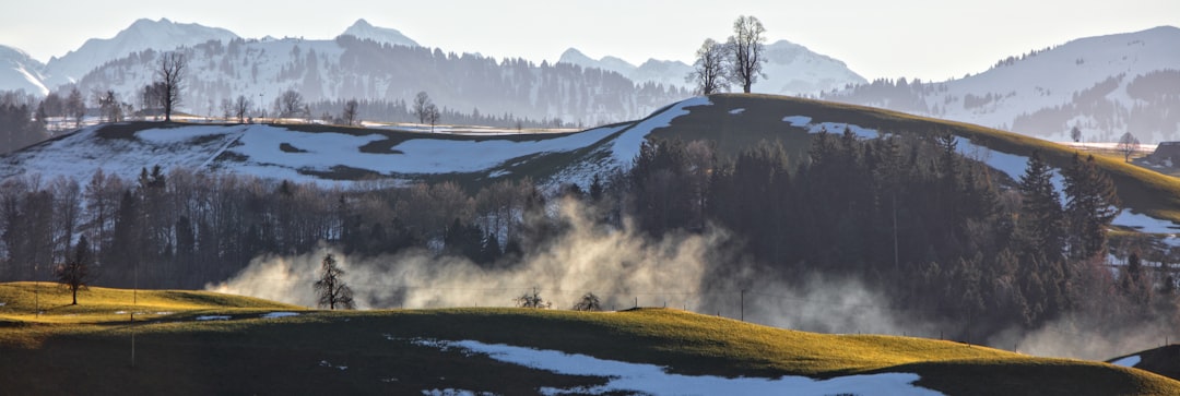 landscape photography of mountains and trees