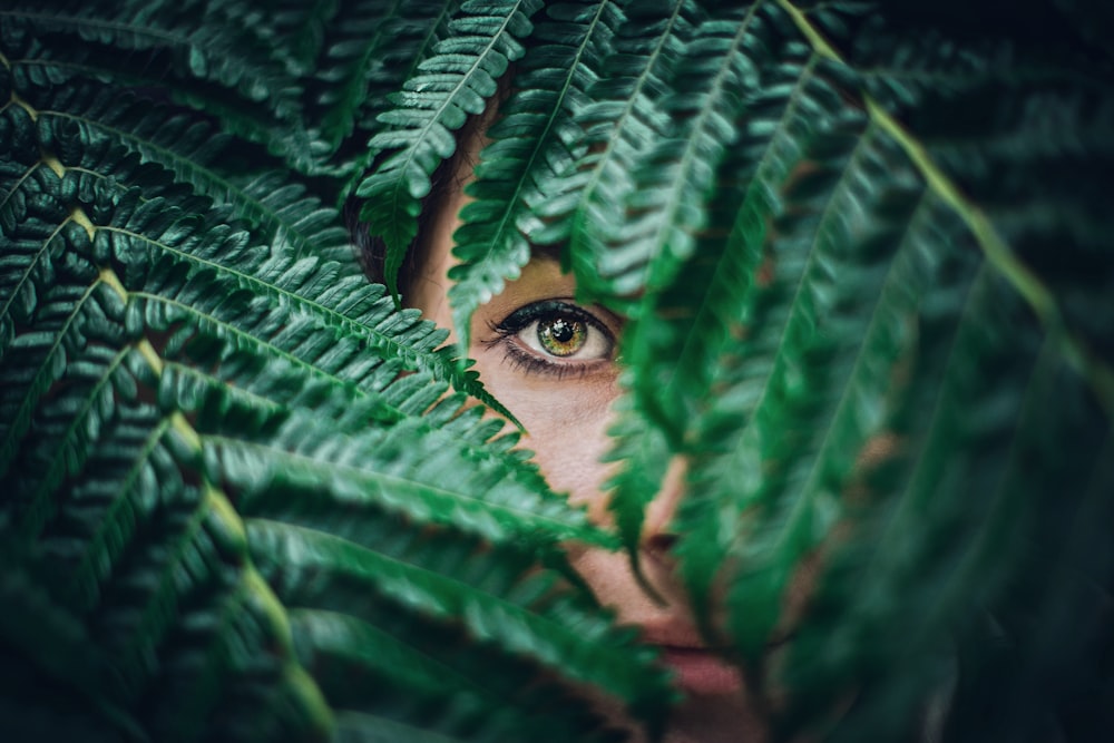 Person, die sich auf Baumblättern versteckt