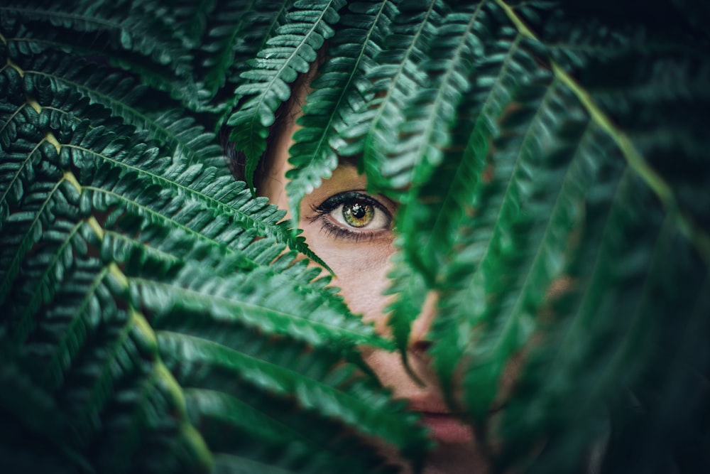 person hiding on tree leaves