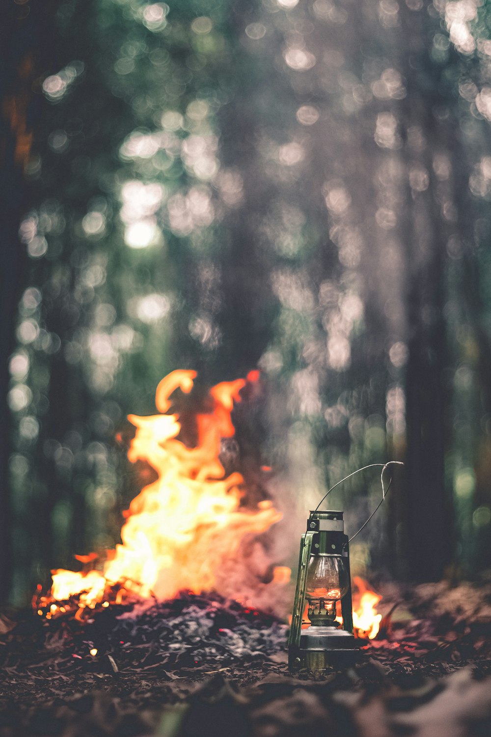 Grüne Laterne neben dem Lagerfeuer auf braunem Gras