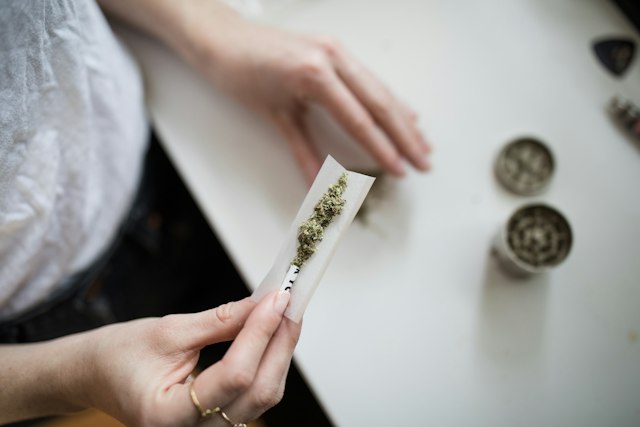 Hands rolling a cannabis joint