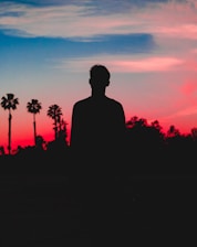 silhouette photo of person behind coconut trees photo