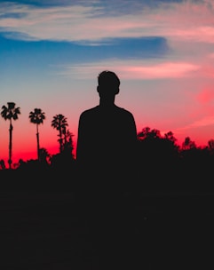 silhouette photo of person behind coconut trees photo