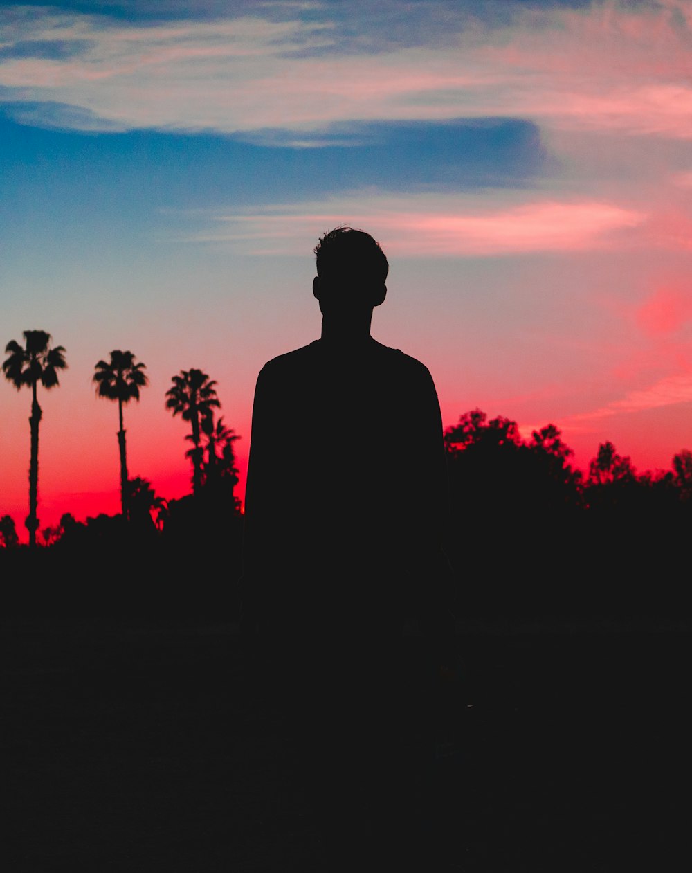 silhouette photo of person behind coconut trees photo