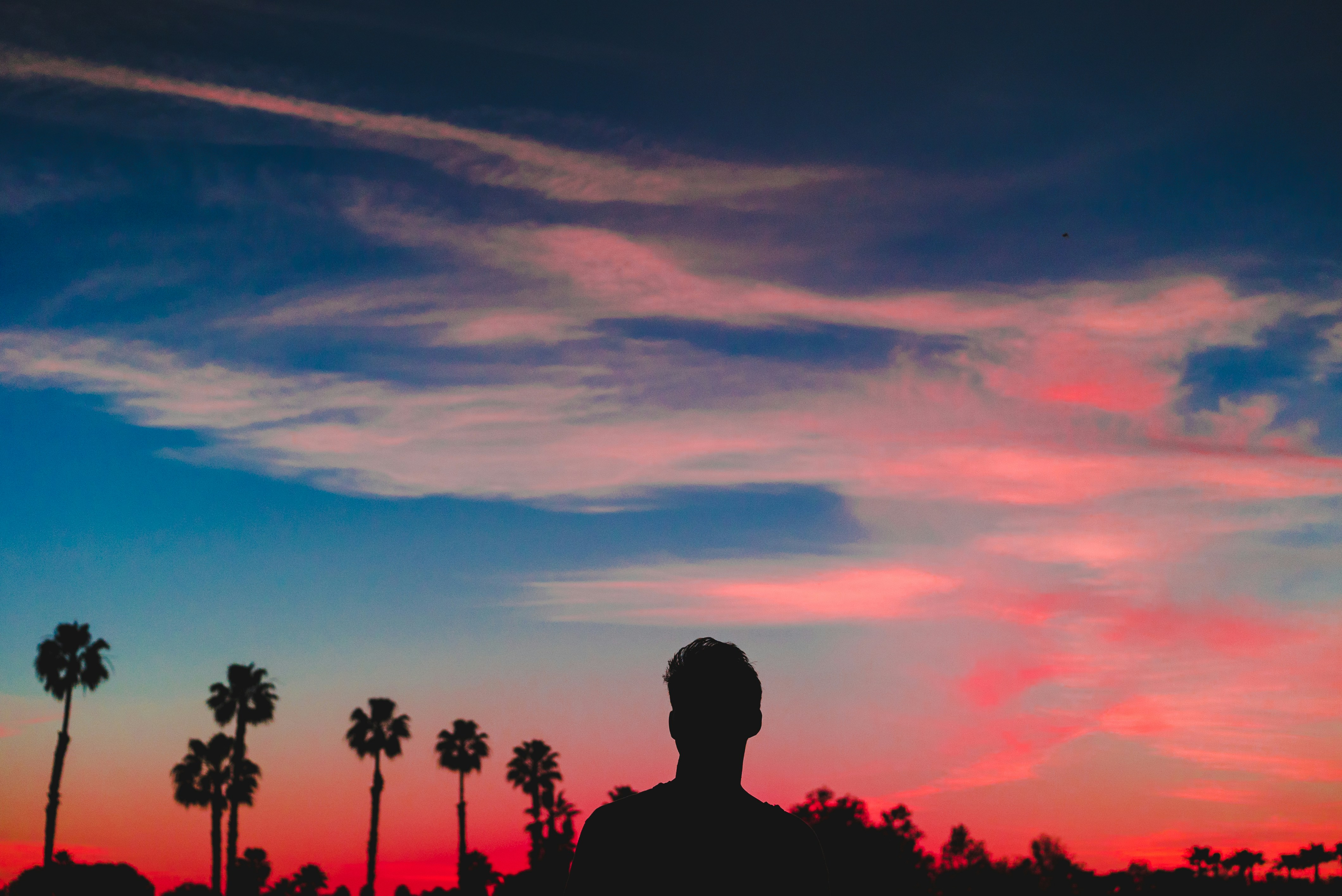 Photo by greysonjoralemon