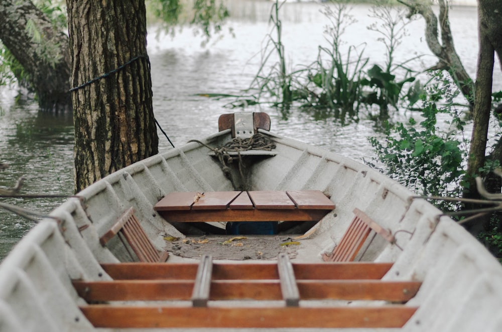 brown and white boat on lake surrounded by trees
