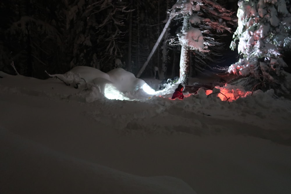 person bonfiring near tree covered by snow during nighttime