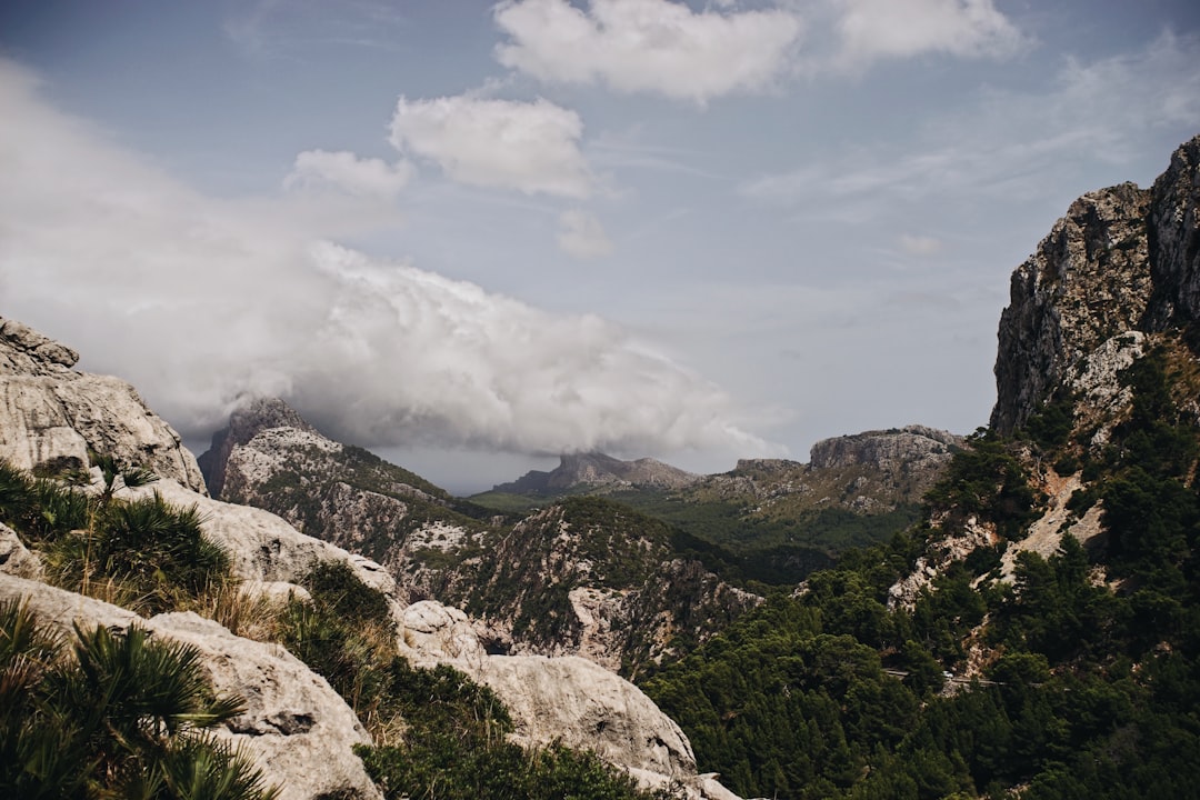 Hill station photo spot Majorca Artà