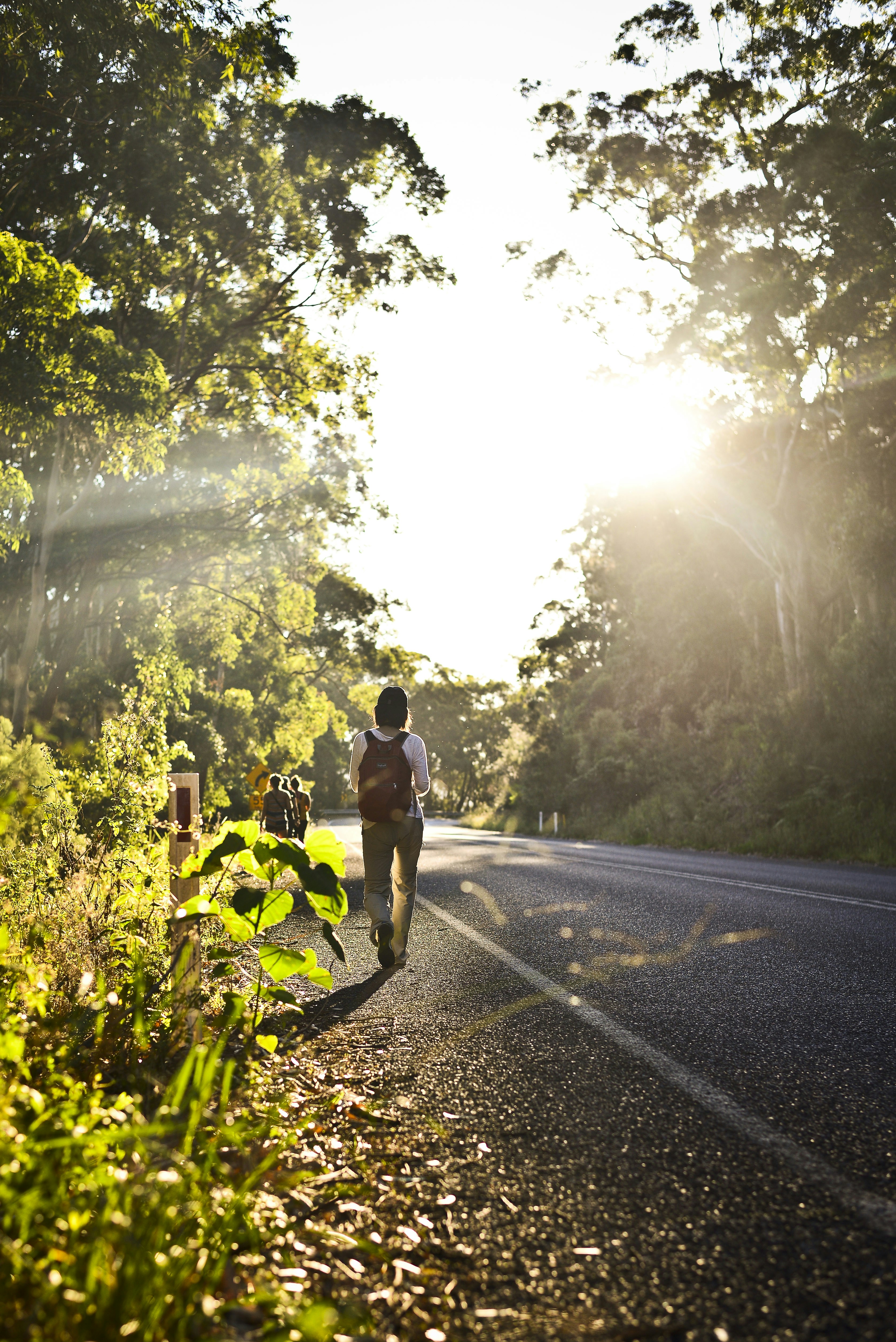 person carrying backpack walking in road beside trees