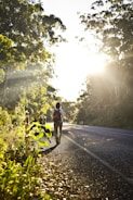 person carrying backpack walking in road beside trees