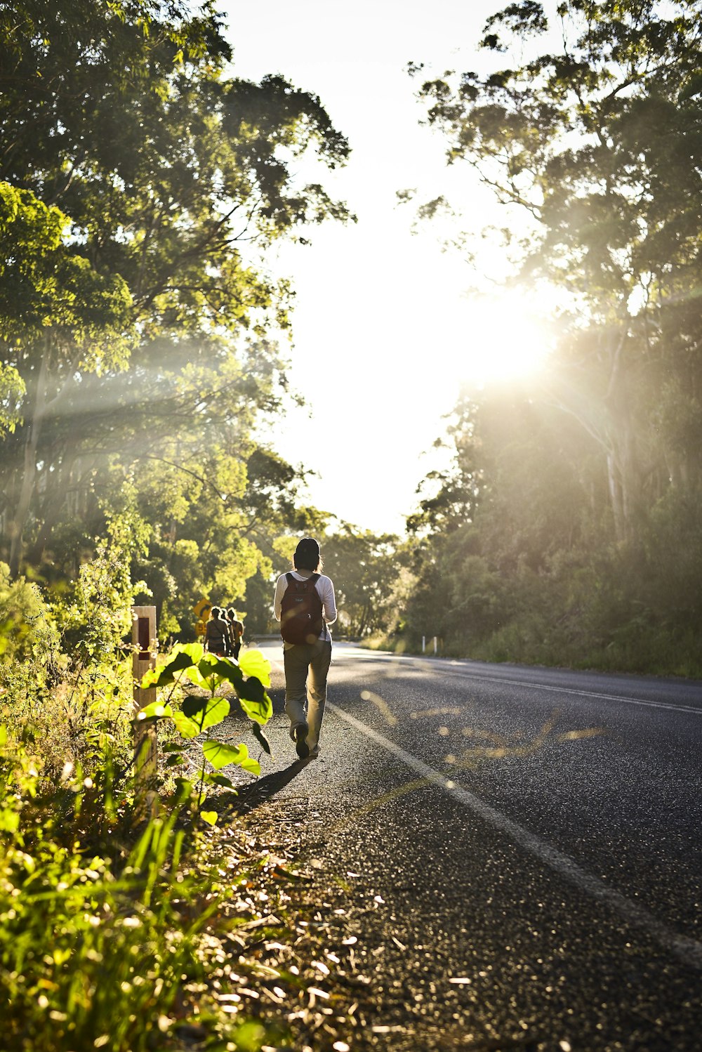 person carrying backpack walking in road beside trees