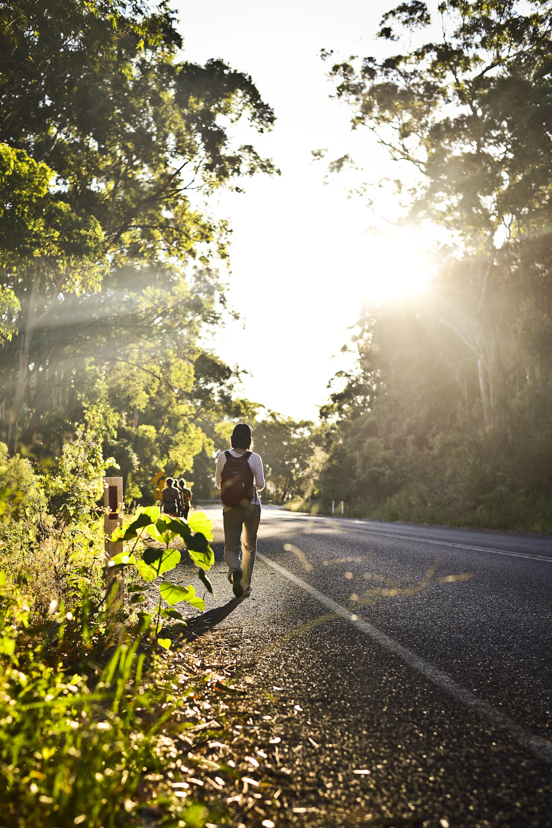 A hiker with a backpack walking down a forest road in sunlight