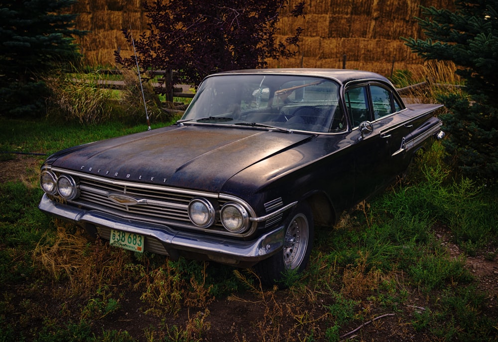 classic black coupe surrounded with green grass